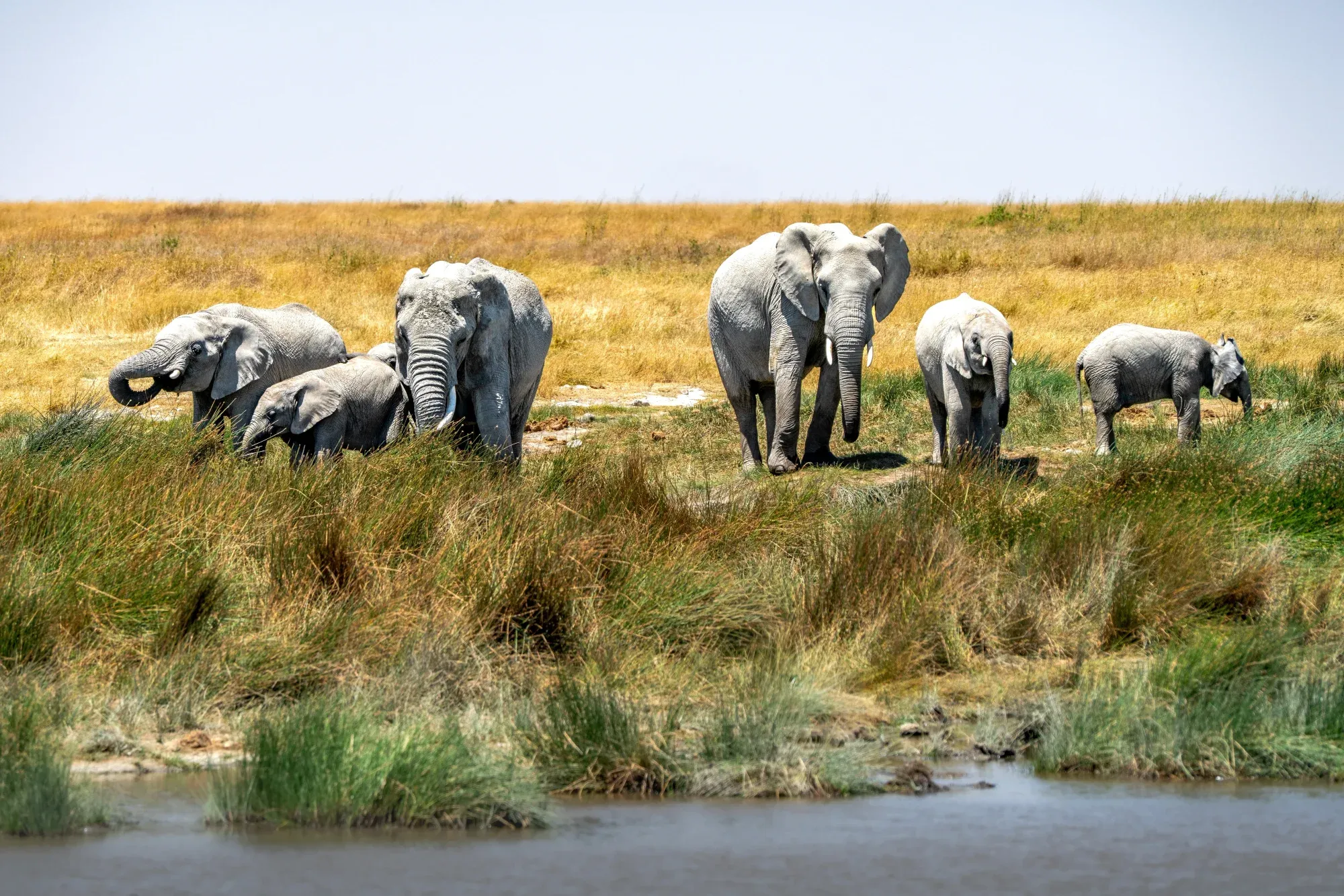 The Kenya-Tanzania Explorer