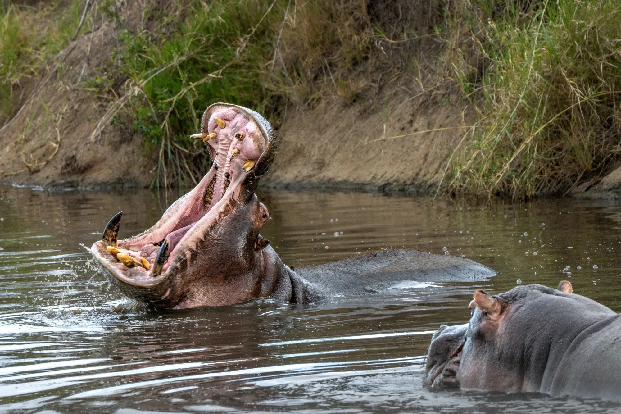 Serengeti National Park