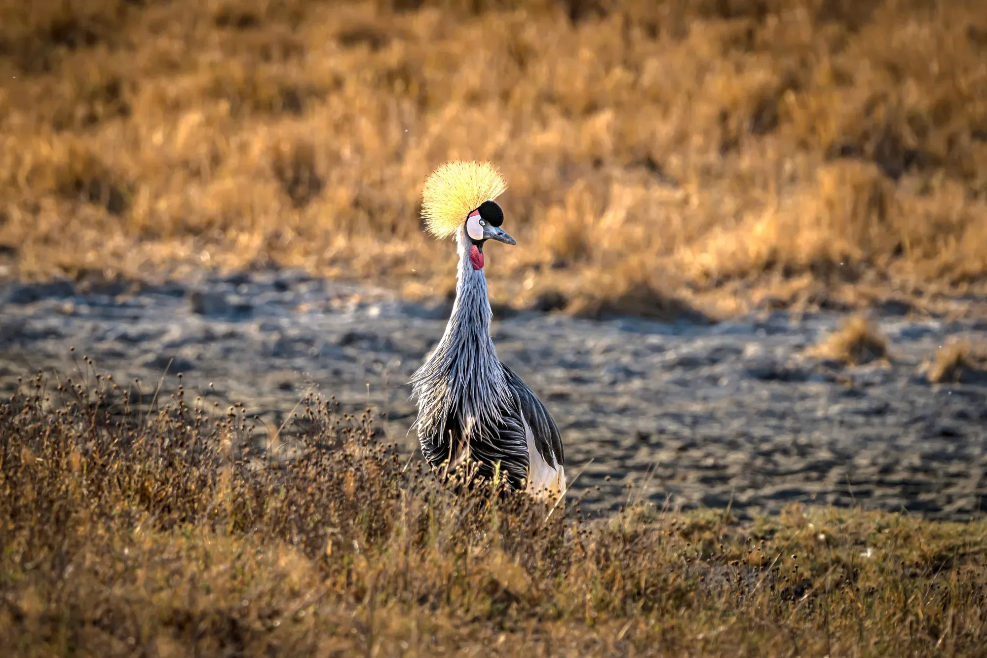 Serengeti National Park