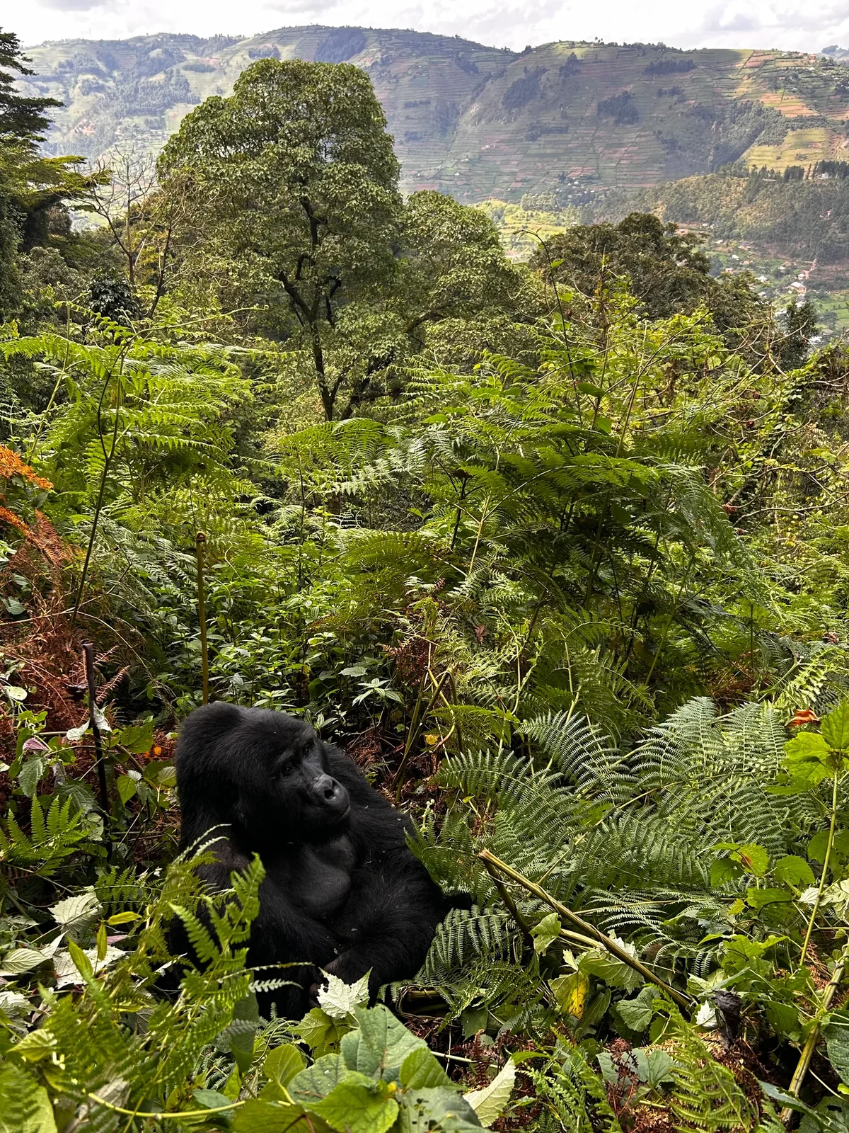 National Parks & Wildlife