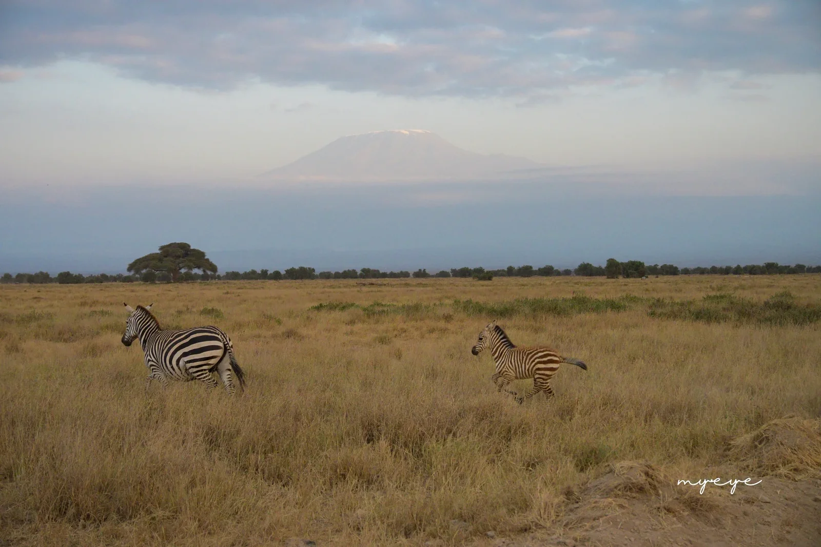 National Parks & Wildlife 2