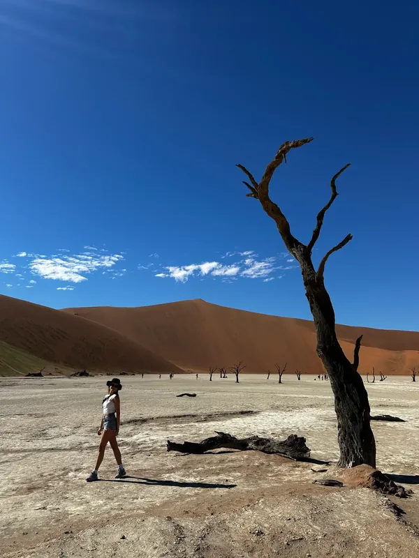 Sossusvlei / Deadvlei