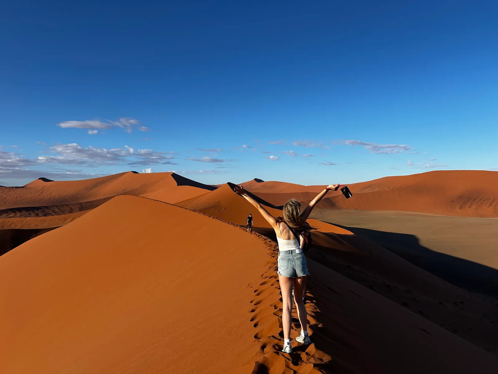 The Desert to Falls Explorer