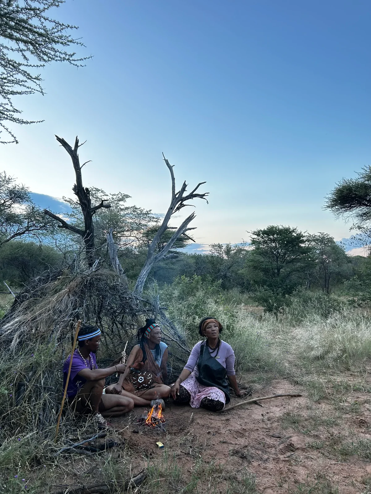 Landscapes & Culture