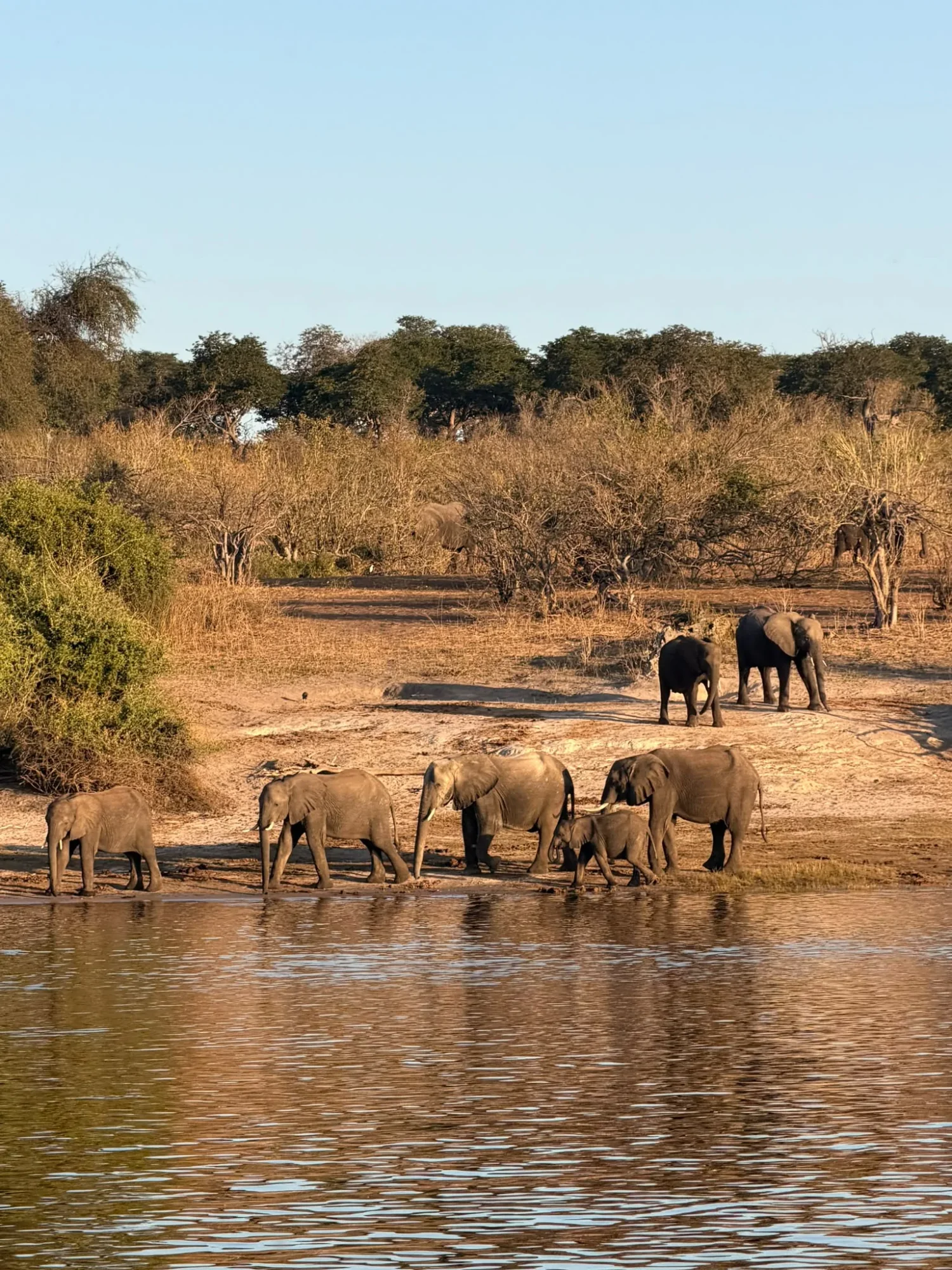 Hwange National Park