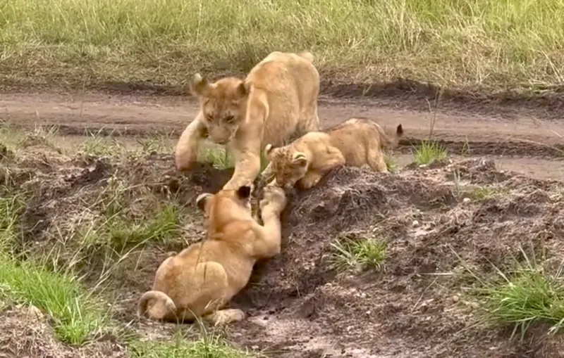 Maasai Mara National Reserve