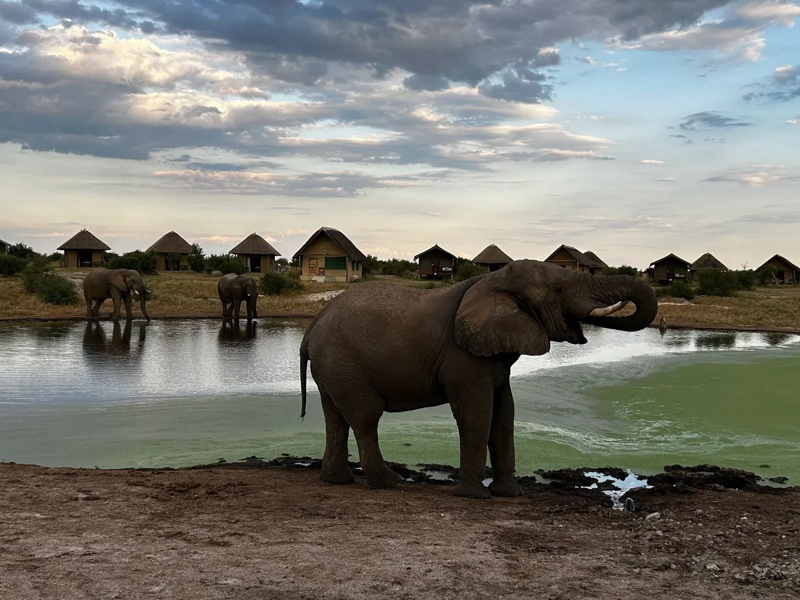 National Parks & Wildlife 2
