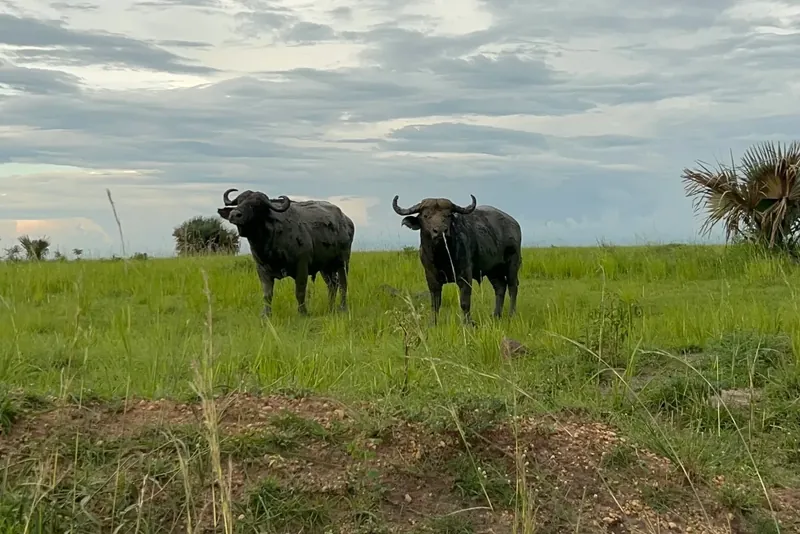 Murchison Falls NP