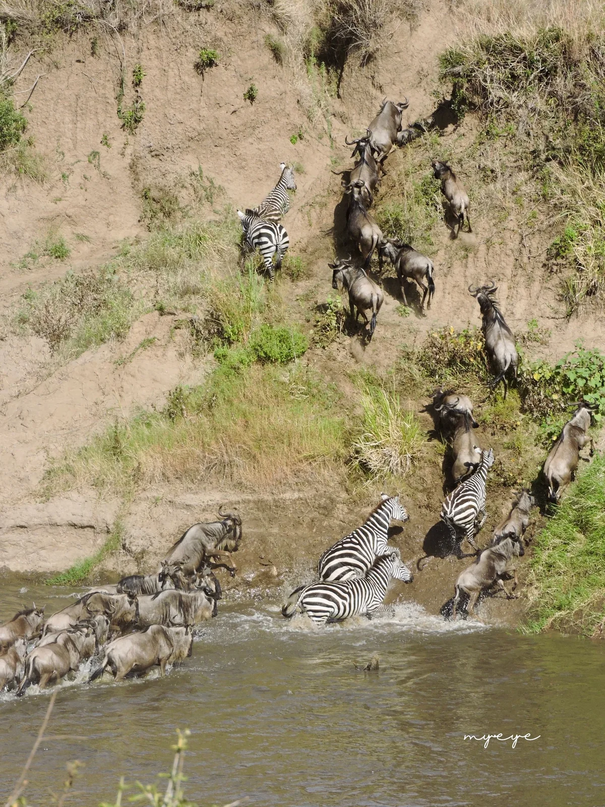 National Parks & Wildlife