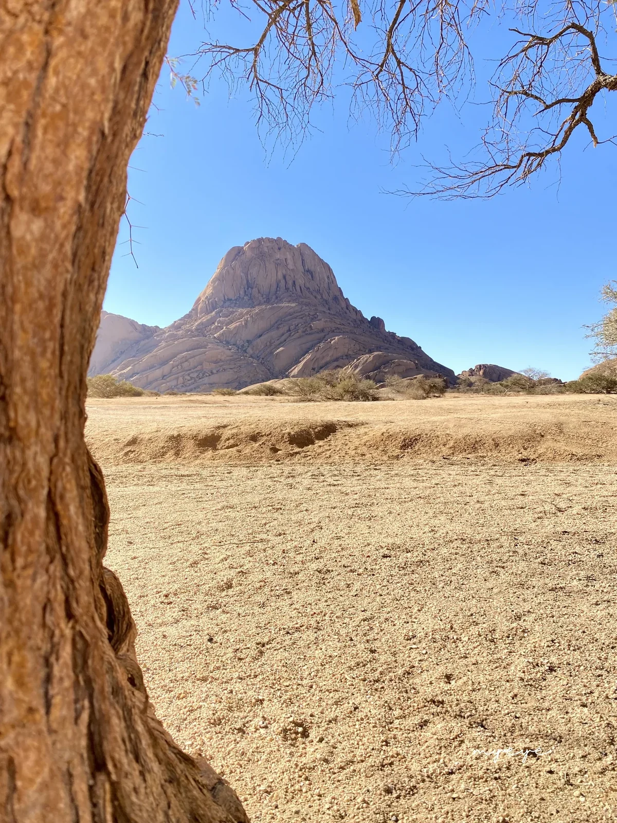 The Desert to Falls Explorer
