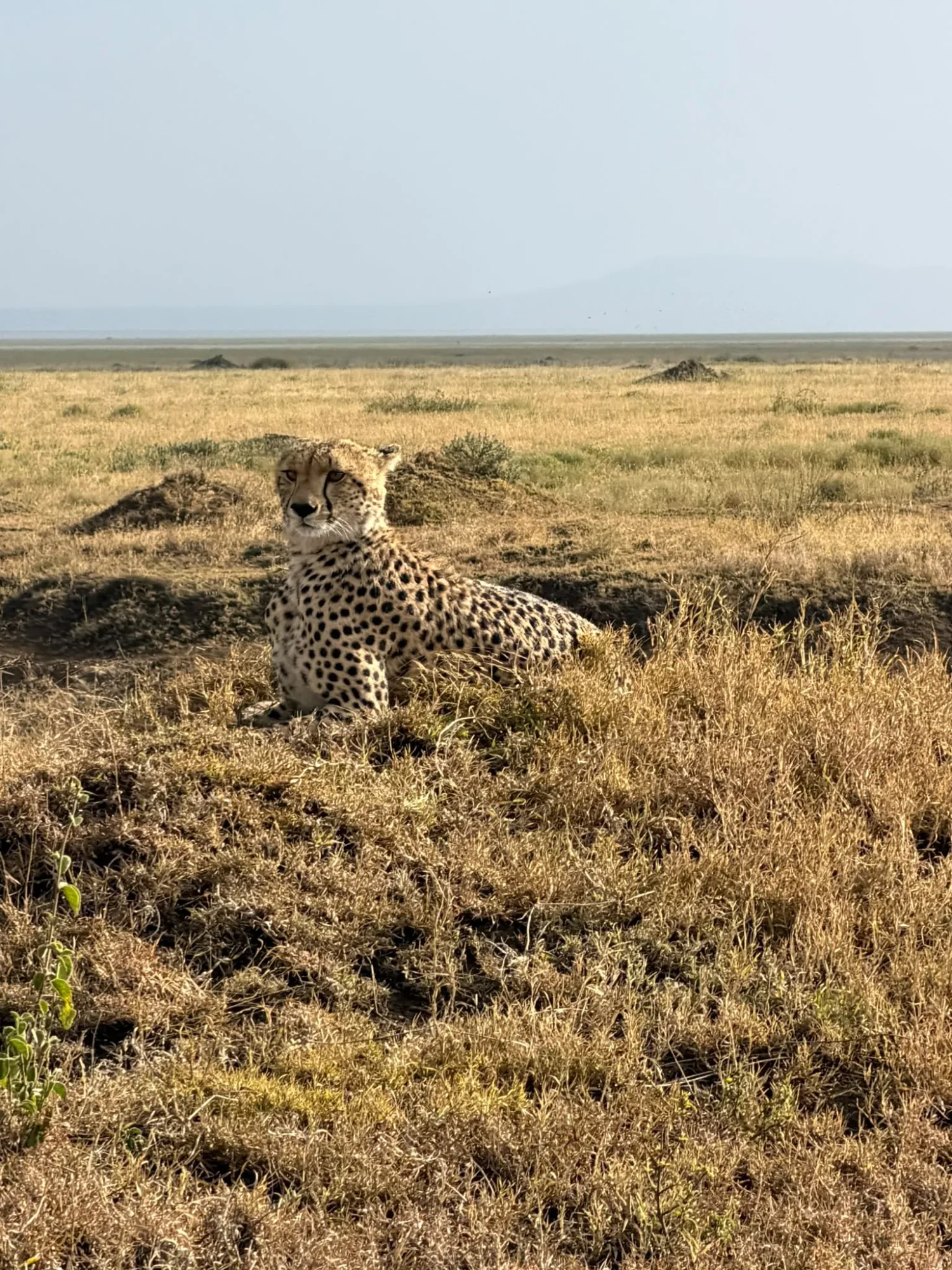 Serengeti National Park