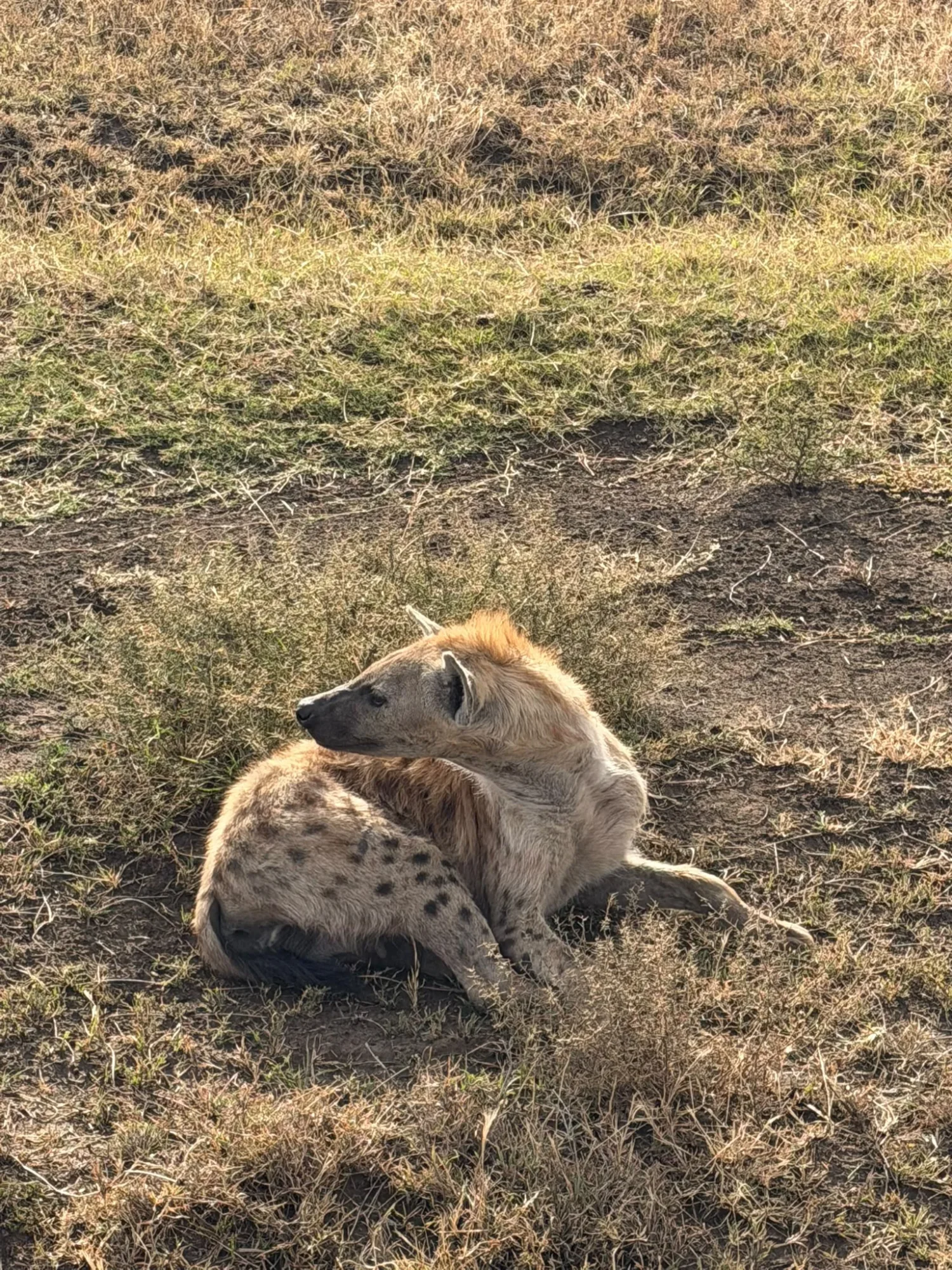 Serengeti National Park
