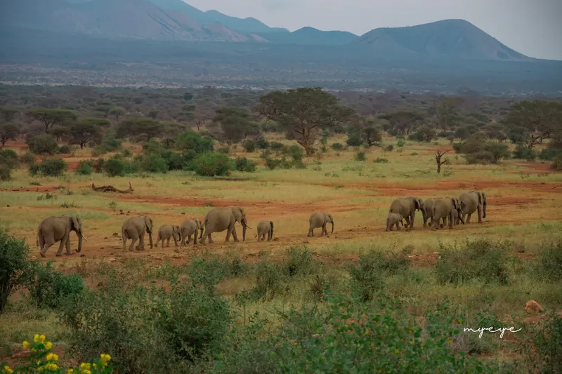 Somewhere in Kenya