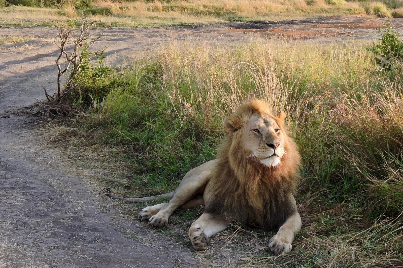 The Kenya-Tanzania Explorer