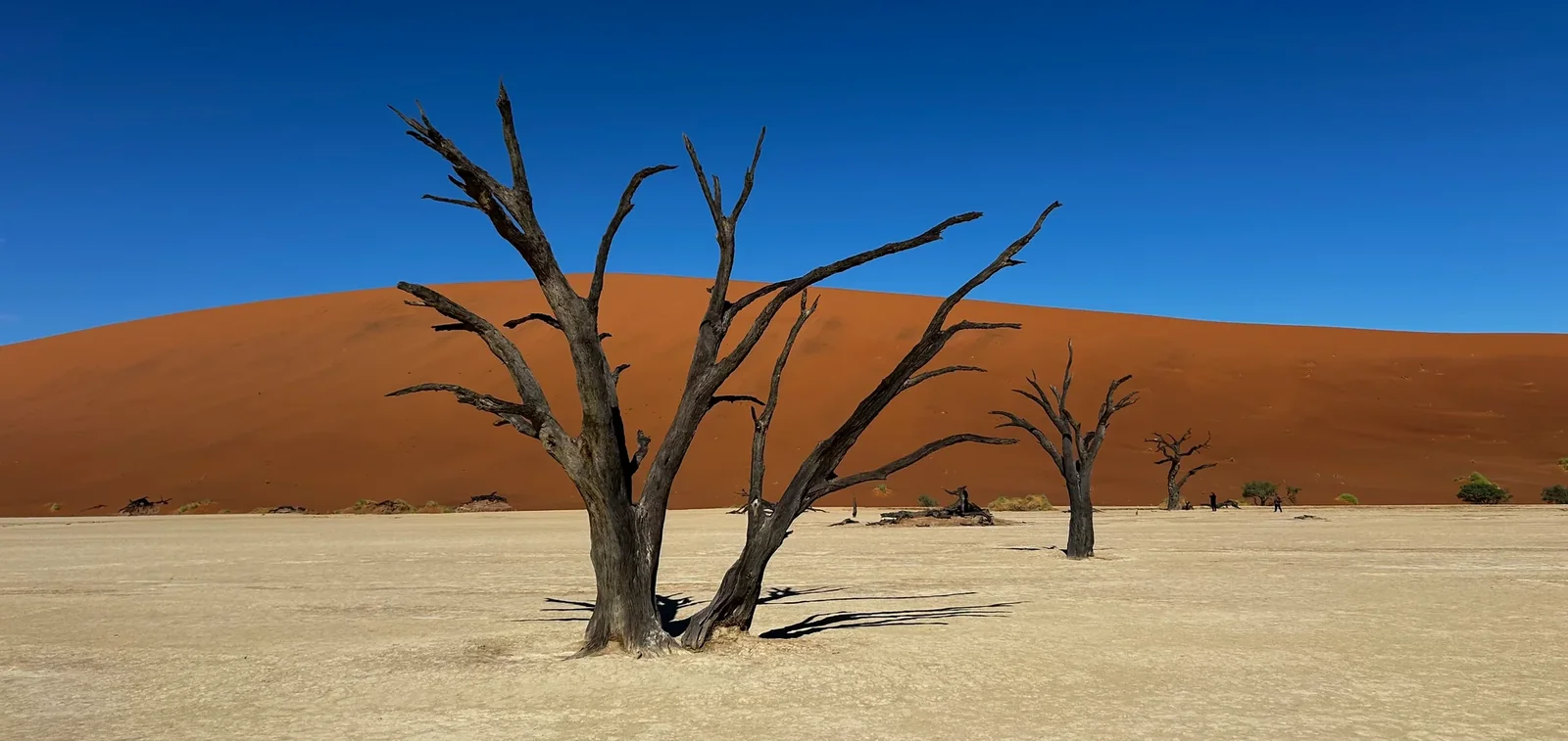 The Namibia Explorer